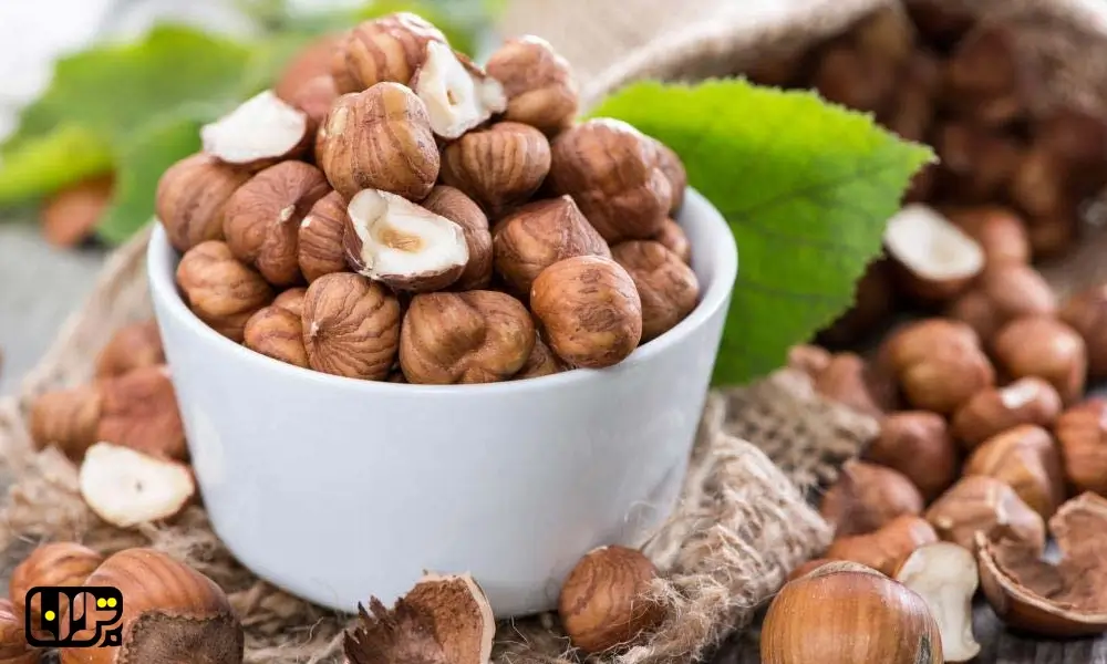 برترین خواص فندق برای کودکان، عکس فندق در ظرف