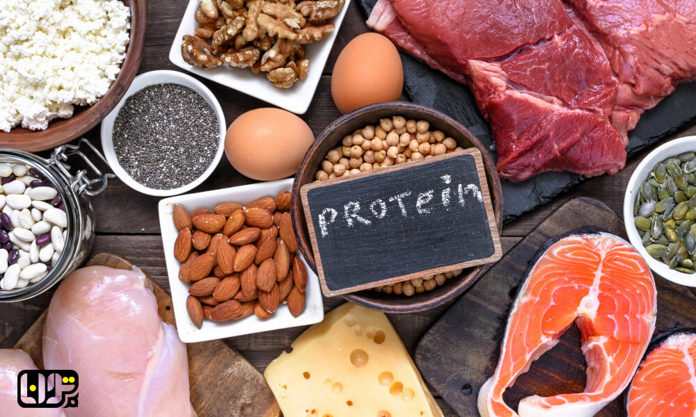 اهمیت مصرف میان‌ وعده های پروتئینی